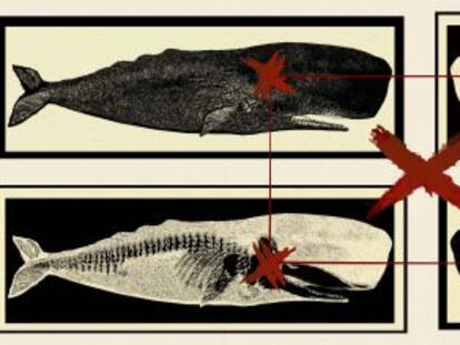 Ilustraci&oacute;n de Carlos Uriondo sobre Moby Dick. 