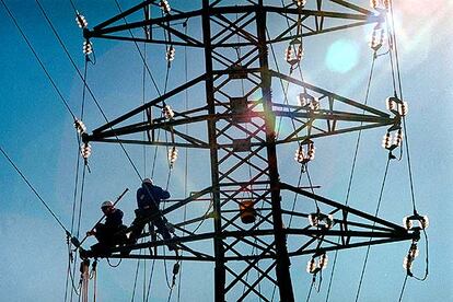 Cigüeñas electrocutadas en Girona