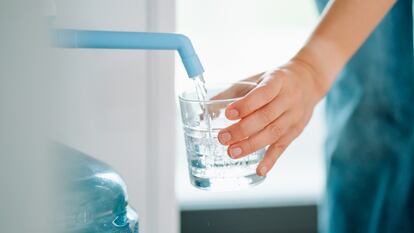 Un dispensador automático de agua es un accesorio muy cómodo y fácil de usar. GETTY IMAGES.