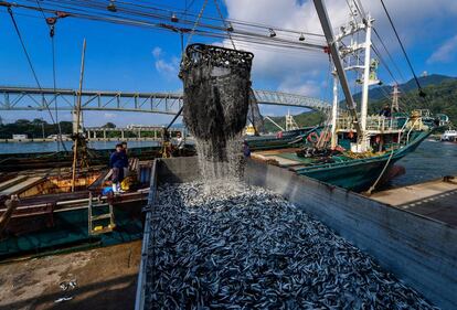 Un barco descarga en el puerto de Sakaiminato (Japón)