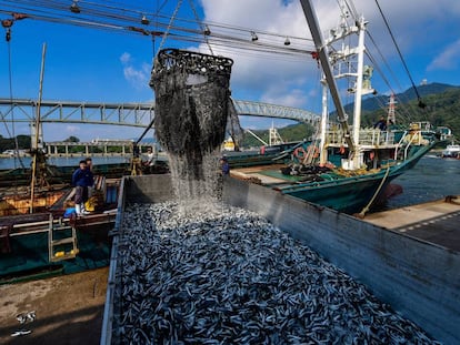 Un barco descarga en el puerto de Sakaiminato (Japón)