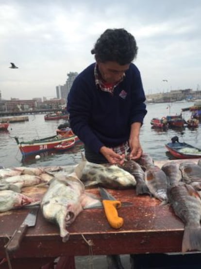 Una pescadería en el puerto de la ciudad chilena de Antofagasta.