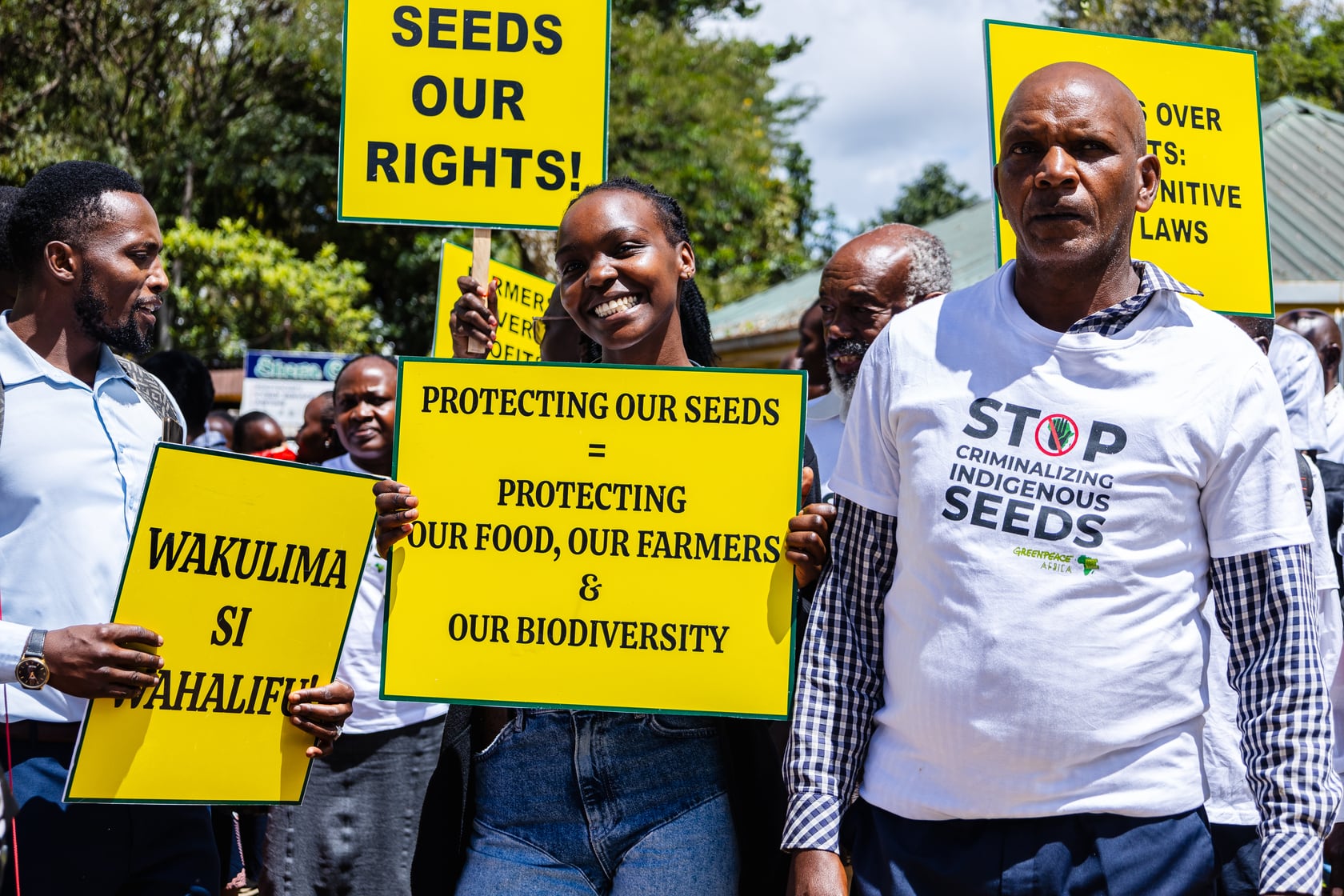 Los agricultores africanos reclaman su derecho a plantar semillas autóctonas, prohibidas en seis países