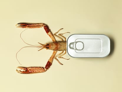 Si has cocinado de más, o quieres servir un plato de diez en un minuto, conserva (pero hazlo bien)