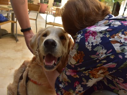 Una mujer acaricia a un perro, en una imagen de la asociación Terapican.