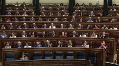 Pleno del Congreso de los Diputados. 