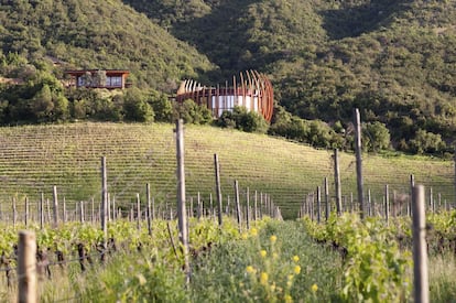 El paisaje y la flora y fauna del lugar inspiraron a Roberto Benavente para su proyecto arquitectónico. "Un nido de tenca, suerte de canastilla de ramas, a media altura de un arbusto espinoso nos dio la principal estrategia: escapar a los peligros del suelo y de la temperatura extrema del verano e invierno chilenos. El edificio, instalado sobre una colina en los primeros croquis, se transformará sucesivamente en una obra prácticamente subterránea", se lee en la memoria.