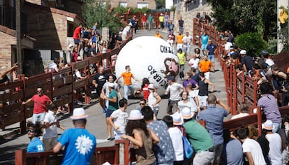 Una de las carreras del boloencierro de Matalpino.