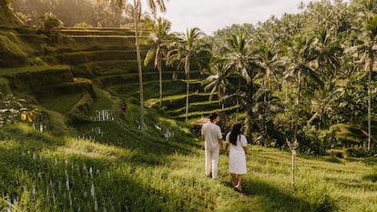 Babymoons typically cost more than what people spend on a summer vacation. Pictured here, a couple visits a rice plantation in Bali, Indonesia.