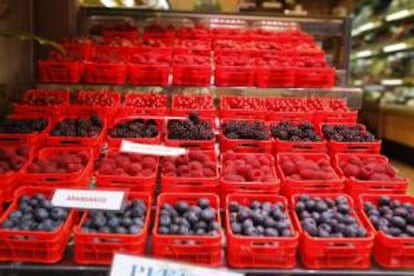 Frutas expuestas en el escaparate de una fruteria en la calle Ayala de Madrid. EFE/Archivo