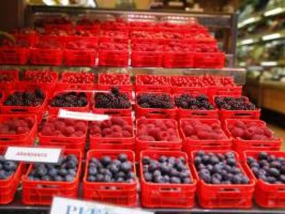 Frutas expuestas en el escaparate de una fruteria en la calle Ayala de Madrid. EFE/Archivo