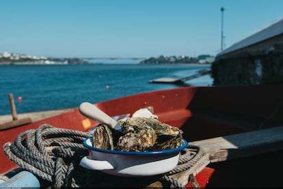 Vista de la hermosa ría del Eo y del manjar que esconden sus aguas: las ostras.