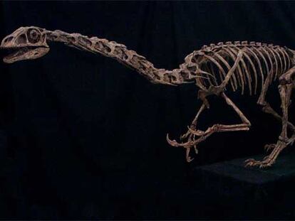 En la imagen, una recreación del dinosaurio cuyos restos han sido encontrados en Utah.