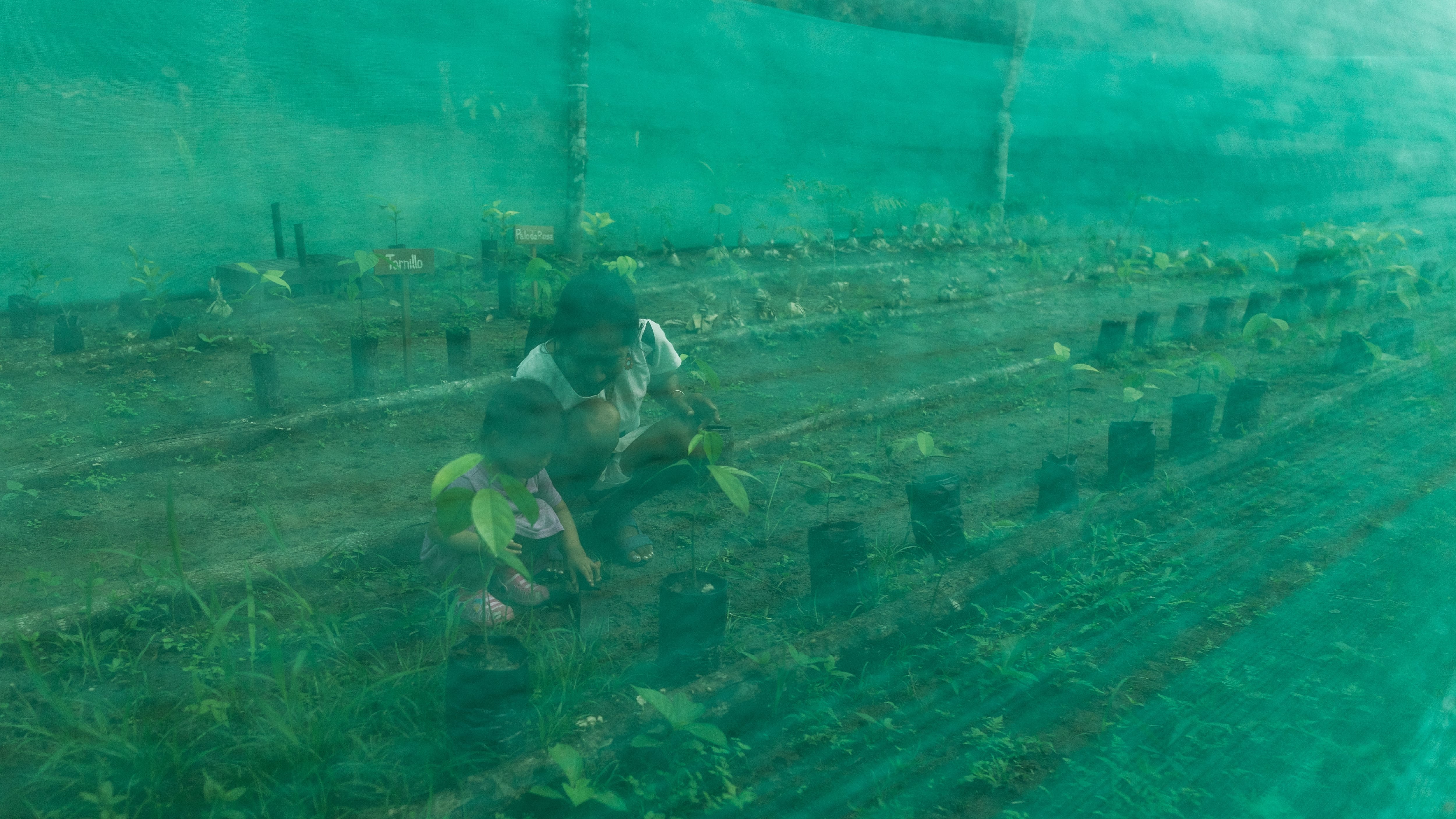 Cómo lograr una economía equitativa para los guardianes de la naturaleza