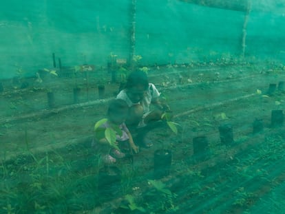 Zoila Ochoa cares for plants in her greenhouse with Desiré, in the Centro Arenal community.