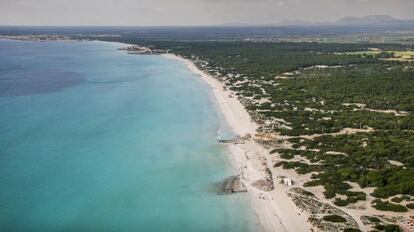 Vista a&eacute;rea de la playa de Es Trenc, donde el Gobierno balear plantea construir un complejo hotelero. / tolo ram&oacute;n