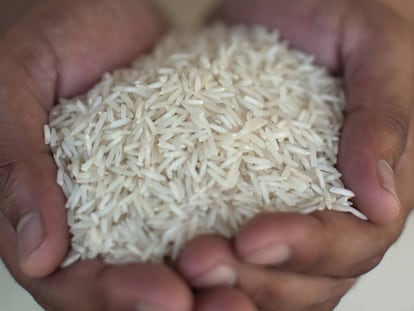 Un arroz no es una an&eacute;cdota, debe tener pretensi&oacute;n de categor&iacute;a para responder a las expectativas.