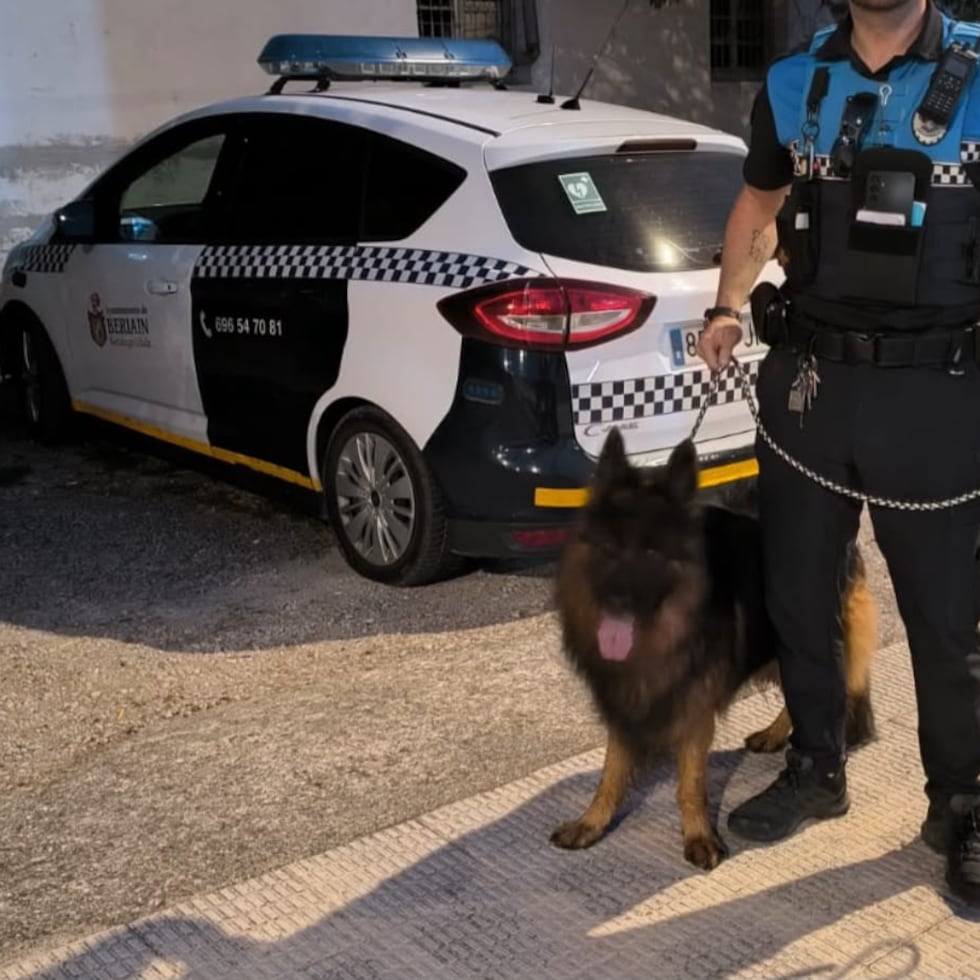 Exclusivo: 1 perro, lur, ayudó a esclarecer el crimen de su dueño. 1 Perro lur ayudó a esclarecer el crimen