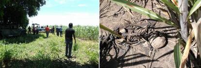 Lugar donde apareció el cadáver del político