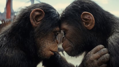 The characters of Soona (Lydia Peckham) and Noa (Owen Teague) in 'Kingdom of the Planet of the Apes', which hits theaters on May 10.