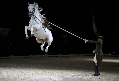 Un jinete y su caballo realizan un ensayo general en la Arena SSE, en Londres (Gran Bretaña). 
