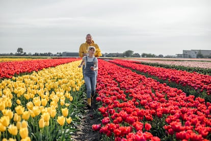 Campo de tulipanes en los Países Bajos.