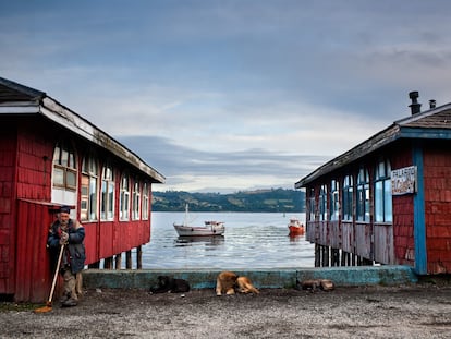 'El hombre de los perros'.