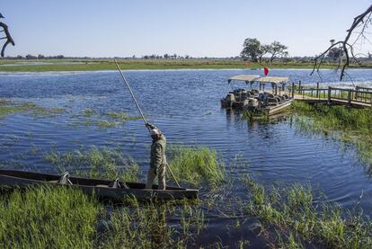 Una barca tradicional, o 'mokoro', en primer plano, en Eagle Island. Un paseo sobre las aguas del Delta, entre papiros y nenúfares, en silencio, es una de las grandes experiencias del lugar.