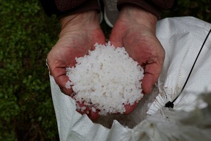 ‘Pellets’ para la fabricación de plásticos perdidos en el mar que están llegando a la costa gallega.