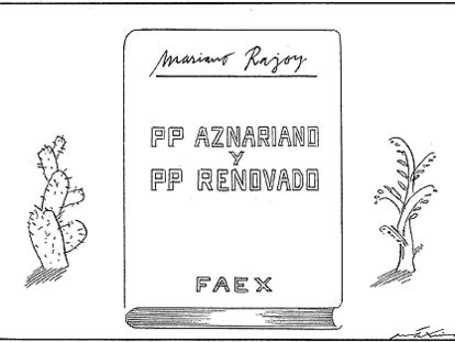 MÁXIMO