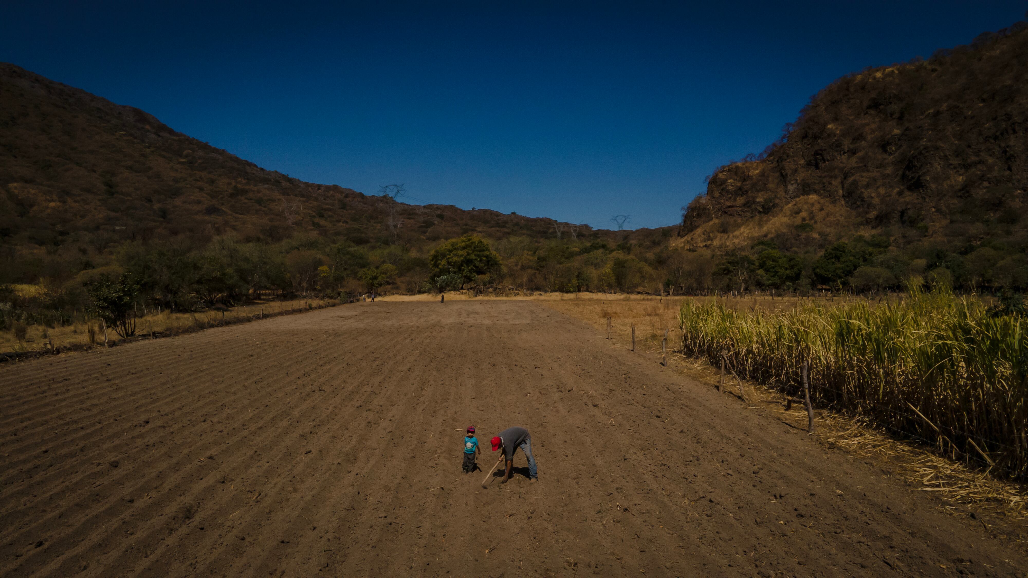 Ismael Elías, productor de maíz, cultiva su terreno en compañía de su hijo Matías Elías en la comunidad de Coapan, municipio de Jala, en el Estado de Nayarit, México.