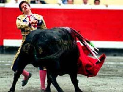 El Juli, junto al toro que acababa de partirle el labio y ante el que no se amilanó terminando la faena cortando dos orejas.
