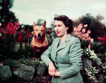 La reina Isabel II, en el castillo de Balmoral, en septiembre de 1952.