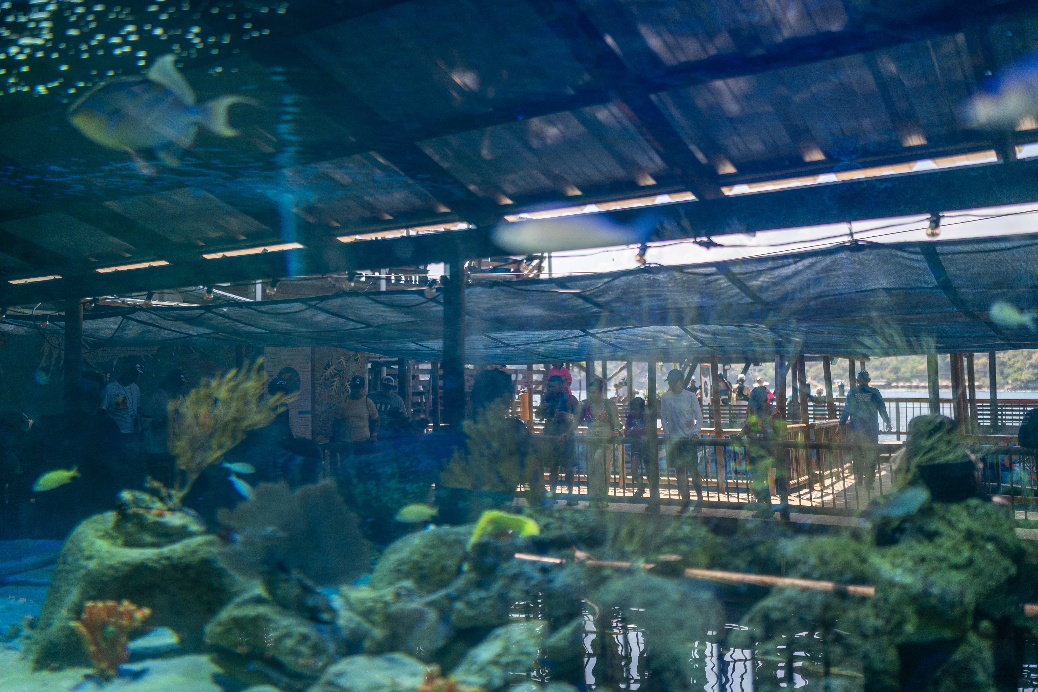 Visitantes en el Centro de Vida Marina, en Santa Marta, Colombia, el 15 de diciembre del 2025.