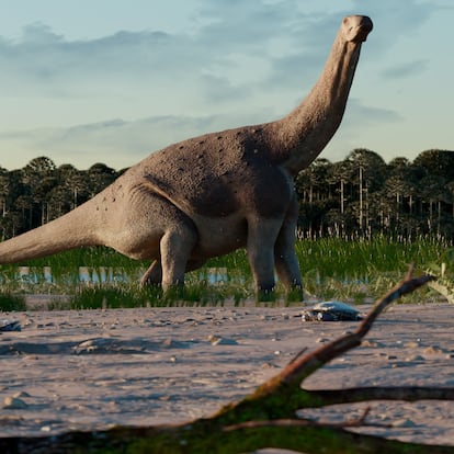 Titanosaurio paleontología