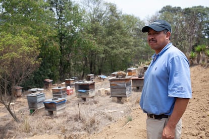 Ovidio Tomás Tzul Álvarez, productor de miel y polen, posa junto a las colmenas de abejas que logró mejorar gracias al apoyo de los proyectos que ejecuta la Asociación de Cooperación para el Desarrollo Rural de Occidente (CDRO) y We Effect, en Patzarajmac, Totonicapán, Guatemala el 4 de junio de 2024.