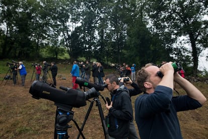 Aficionados a la observacion animal contemplan osos en Somiedo, Asturias.