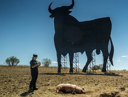 Una imagen de la serie 'Matadero'.