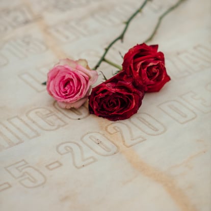 Tres rosas sobre una lápida en el cementerio de La Bañeza (León) el pasado mes de febrero.