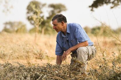 Es hora de abordar las causas del cambio climático