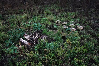 Minas antitanque plantadas por el Ejército en una granja de Shestakove, en la región de Járkov.