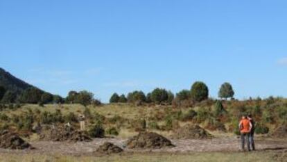 Volunteers inspect the work done to date at Sad Hill.