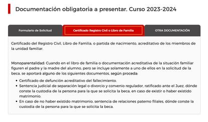Pantallazo de la página web de la Comunidad de Madrid donde se indica qué deben presentar las familias monoparentales. 