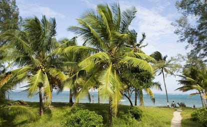 Playa de palmeras en Watamu (Kenia).