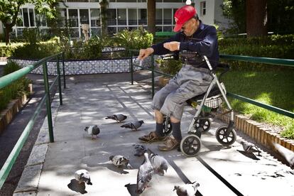 Ginés, de 70 años de edad, da de comer a las palomas en el patio del edificio principal, junto con fumar sus dos actividades preferidas. Lleva 10 años ingresado en Fontilles y niega ser un enfermo de lepra, al ser preguntado dice que esta allí porque se encuentra un poco pachucho, nada más. Hace cuatro años que no vuelve a Garruda, su pueblo natal en Almería, donde tiene un hermano gemelo al que echa de menos. Todos los meses habla con sus familiares y le envían galletas, magdalenas o chocolate.