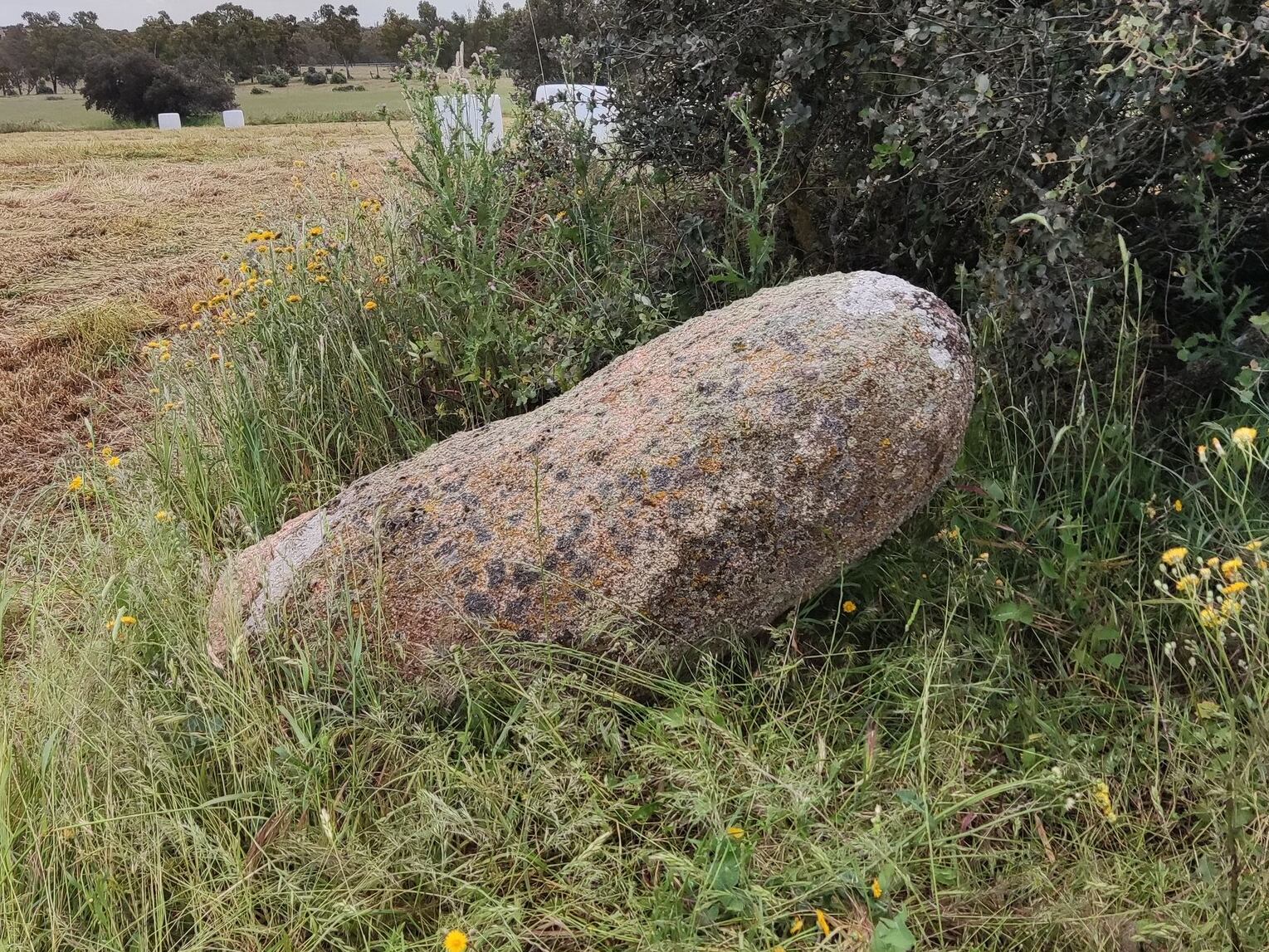 The Civil Guard investigates the demolition of a 5,000 -year -old menhir in Toledo | Spain