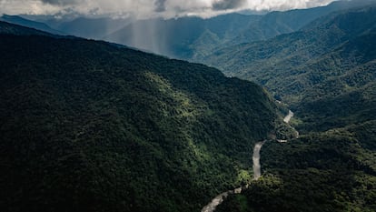 Vista de la Amazonia ecuatoriana en agosto de 2024.