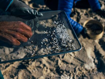 Un voluntario muestra 'pellets' de plástico recogidos en la playa Area Maior, en Muros (A Coruña) este domingo.