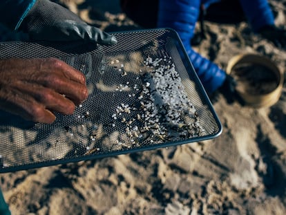 Un voluntario muestra 'pellets' de plástico recogidos en la playa Area Maior, en Muros (A Coruña) este domingo.