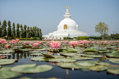 La Pagoda de la Paz Mundial en Lumbini (Nepal).  